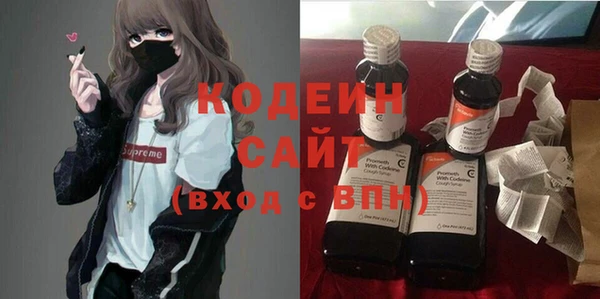 ECSTASY Алзамай