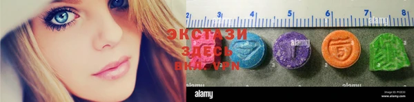 ECSTASY Алзамай