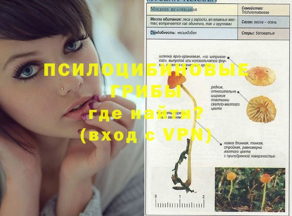 ECSTASY Алзамай