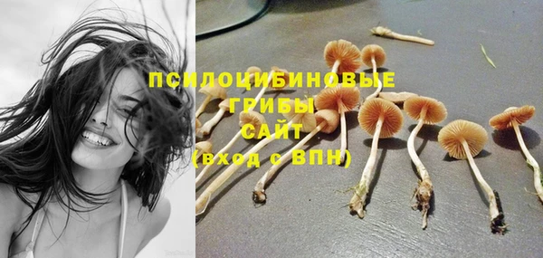 прущие крисы Алексин