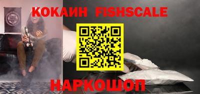 гашик Кандалакша