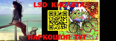 гашик Кандалакша
