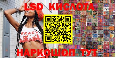 гашик Кандалакша