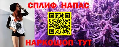 гашик Кандалакша