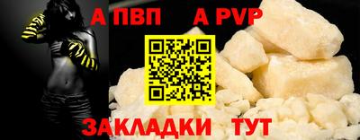 крисы Кингисепп