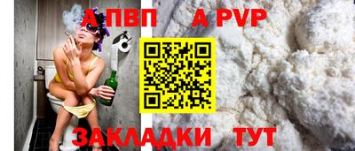 крисы Кингисепп