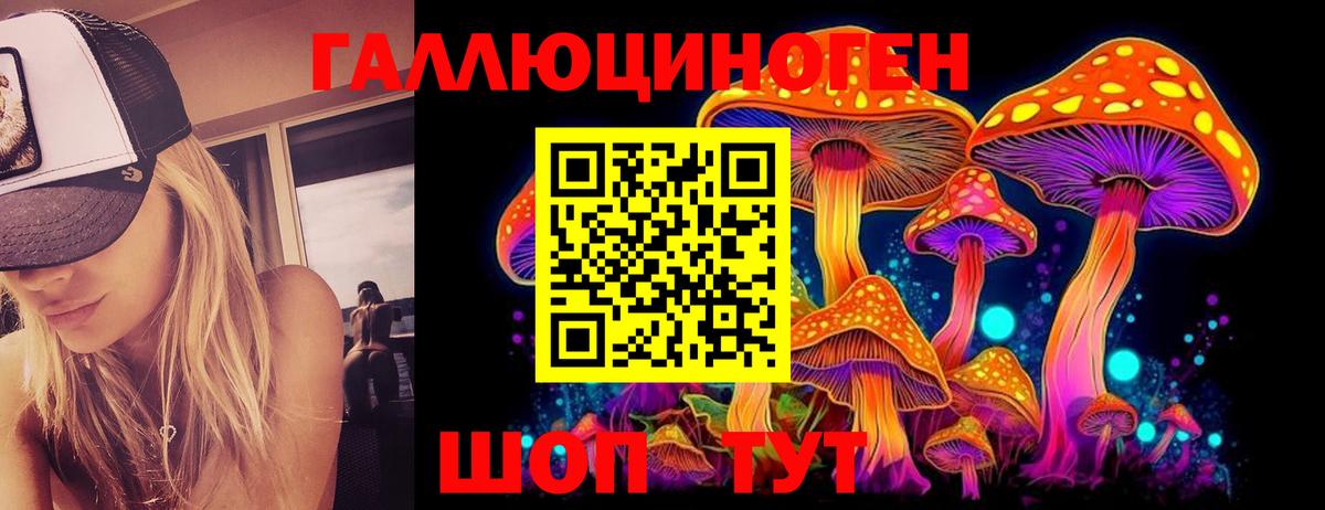Псилоцибиновые грибы Psilocybe Лабинск